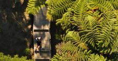 parc-grandes-fougeres-22