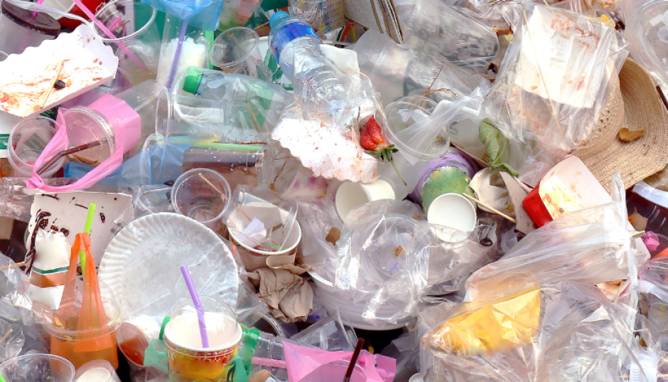 Signalement environnemental