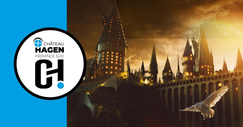 fond-post-harry-potter-halloween-avec-logo-ch