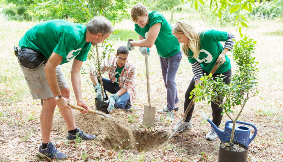 Déclaration de projet de plantation