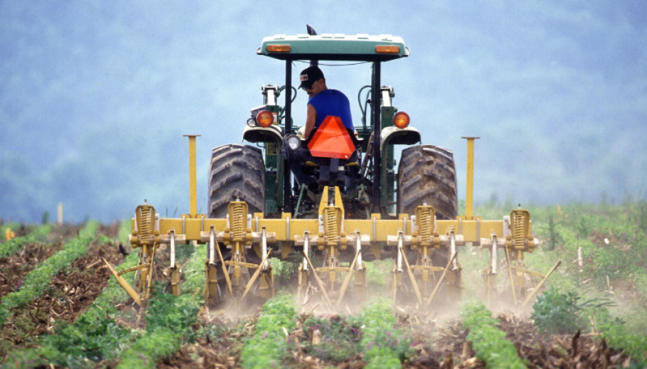 Demande d'informations sur le développement rural