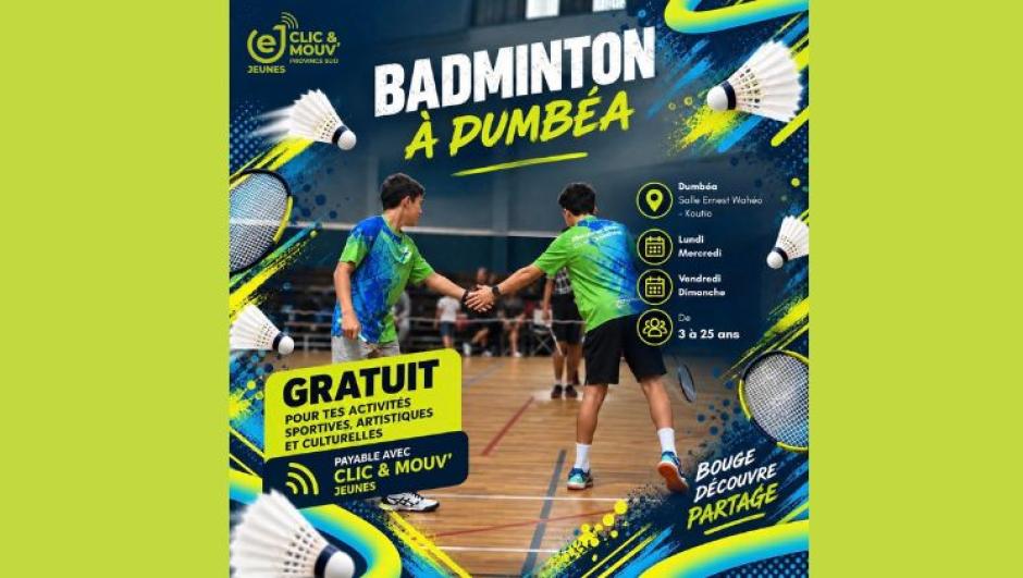 cnm badminton
