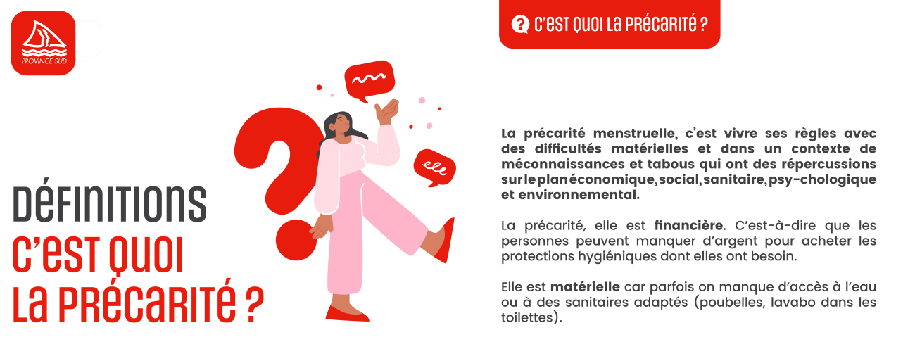 precarite-menstruelle-definitions-tire-du-guide-psud