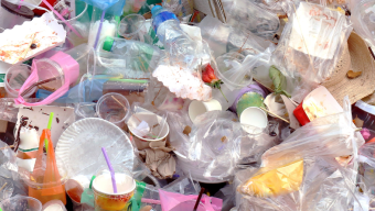 Signalement environnemental