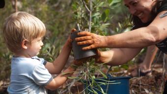 plantation bourail sept24