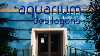 Service civique à l'aquarium
